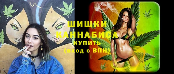 дурь Верея