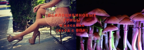 ГАЛЛЮЦИНОГЕННЫЕ ГРИБЫ Верхнеуральск